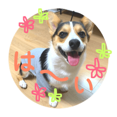 Tono_20190412235303