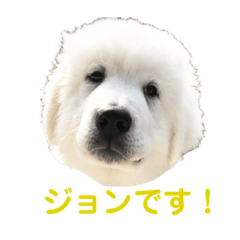 John_20190413