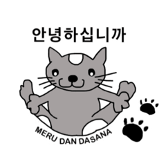 Cat Yoga/Korean