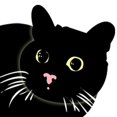 The black cat Hoki