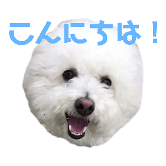 yukko_20190413080827