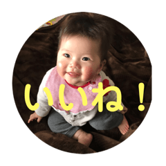 Sakura Sticker Vol.2
