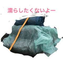 syo_20190413190935