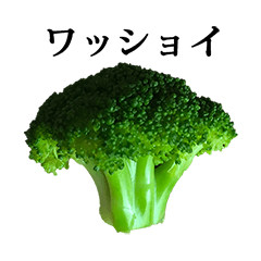 broccoli 2