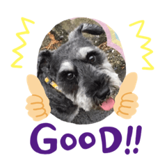 happy dog raku