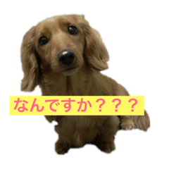 azu_20190414180101