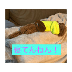 RIKU_20190414180122
