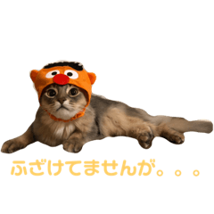 leojillbr