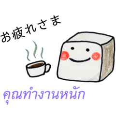 タイ語と日本語で会話できる❤️角砂糖さん!
