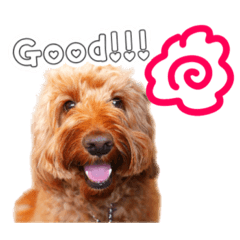 723_20190419002125 - Stiker LINE | LINE STORE