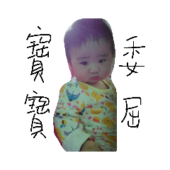 沅傑寶