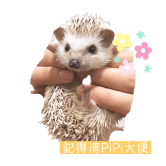 愛してる、ビビ❗️