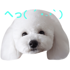 NANAandYUKI
