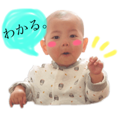 napi_20190415105621