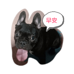 內內的貼圖
