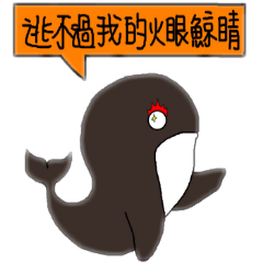 A whale who can play Chi-Gong