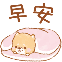 會動的❤療癒柴犬❤3(只要小柴)