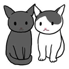 Tabby cat and Black cat