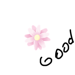 Emily_20190419071516