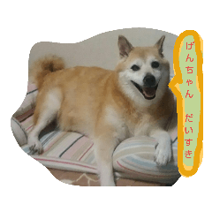 kazue 2019