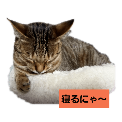 kuu0178