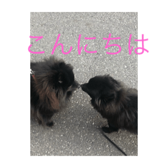 erika_20190415184342