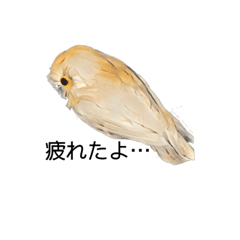 Owl stamp 009