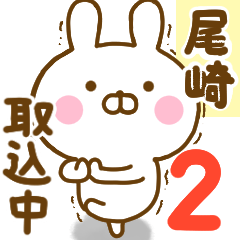Rabbit Usahina ozakii 2