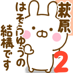 Rabbit Usahina hagihara 2