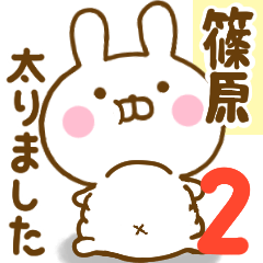 Rabbit Usahina sinohara 2