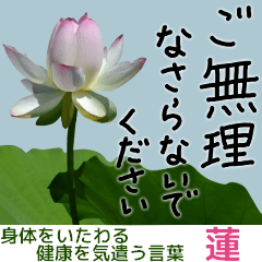 Add lotus to words care for health