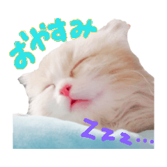 mizuki_20190415184408