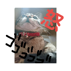 Tony_20190415194334