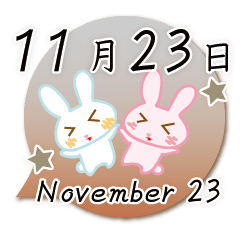 Rabbit November 23