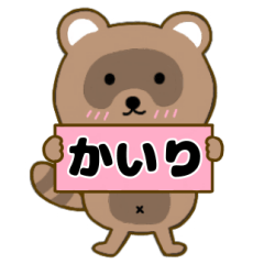Raccoon3 Kairi