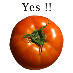 tomatoA 5 English