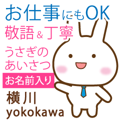 [YOKOKAWA]Polite greeting. Rabbit