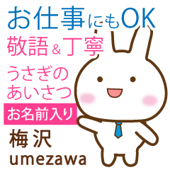 [UMEZAWA]Polite greeting. Rabbit