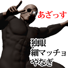 Yanagi hoso muscle
