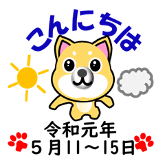 Shiba everyday REIWA May version 3