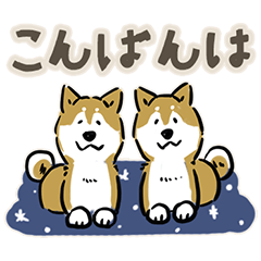 Every Day Dog SHIBA Japanese3