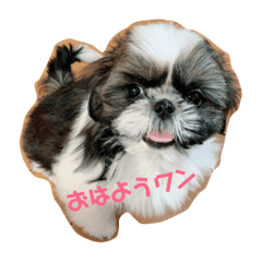 かわいいあんこちゃん Line スタンプ Line Store