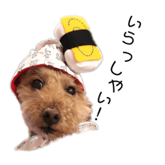 Seira_20190416142344