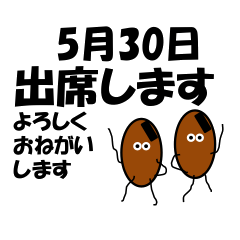 Attendance<May-Daily>Natto brothers
