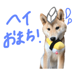 komasans_20190416014316