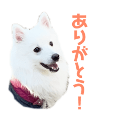 nagisa_20190416041141