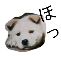 KINAKO_20190416150658