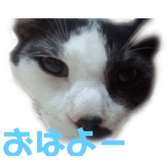 saya_20190416155028
