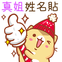 ”真姐 冬季限定”扭扭貓姓名貼Q