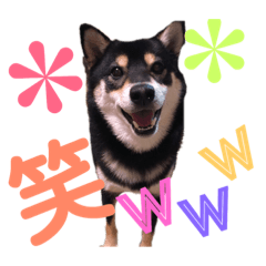 saori_20190416120914